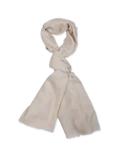 /original/j77scij06tes0j03_ely_SABIAEROSO_1.png_convert-240x320