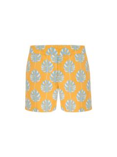 /original/2112_FRES_612_1.png_convert-240x320