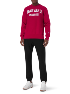 /original/216540_CHMP_NBK_2.png_convert-240x320