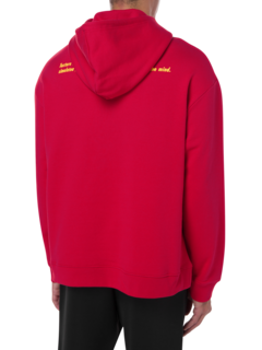 /original/222M160_RAFS_Red_4.png_convert-240x320