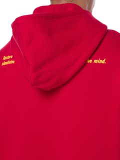 /original/222M160_RAFS_Red_7.png_convert-240x320