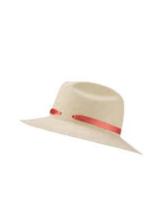 /original/233069_BORS_7142_3.png_convert-240x320