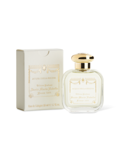 /original/3111102_SMNN_Nocolor_1.png_convert-240x320