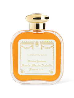 /original/3113001_SMNN_NA_1.png_convert-240x320