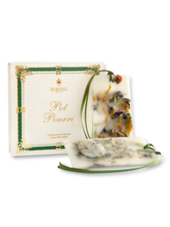 /original/3466400_SMNN_Nocolor_1.png_convert-240x320