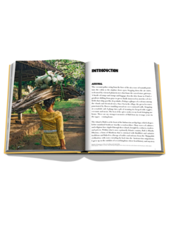 كتاب بالي ميستيك