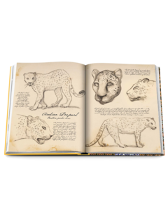 كتاب "Arabian Leopard (Classic)"