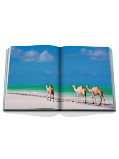 كتاب عن المملكة العربية السعودية: ريد سي ذا سعودي كوست