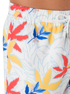 شورت سباحة أرثوس