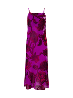 /original/DR00120PV_RHDE_Camellia V_1.png_convert-240x320