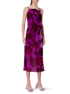 /original/DR00120PV_RHDE_Camellia V_3.png_convert-240x320