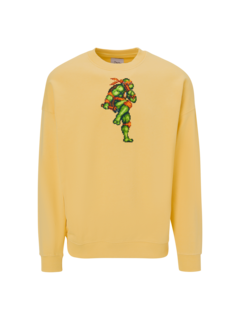 /original/FIGHTINGTURTLE_BRCK_Yellow Sun_1.png_convert-240x320