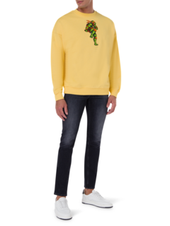 /original/FIGHTINGTURTLE_BRCK_Yellow Sun_2.png_convert-240x320