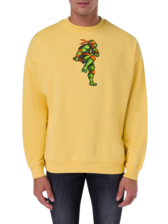 /original/FIGHTINGTURTLE_BRCK_Yellow Sun_3.png_convert-240x320