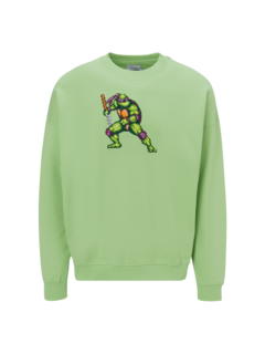 /original/FIGHTINGTURTLE_BRCK_green shel_1.png_convert-240x320