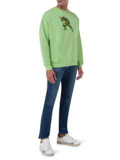 /original/FIGHTINGTURTLE_BRCK_green shel_2.png_convert-240x320