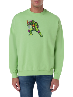 /original/FIGHTINGTURTLE_BRCK_green shel_3.png_convert-240x320