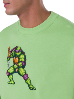 /original/FIGHTINGTURTLE_BRCK_green shel_5.png_convert-240x320
