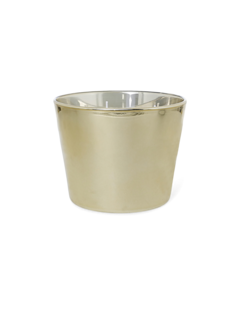 ماكس 10 اوروم