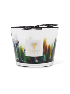 ماكس 10 رينفورست أمازونيا