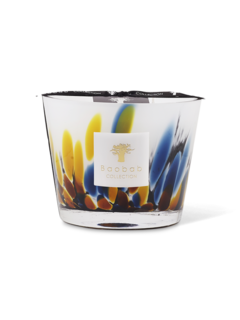 ماكس 10 رينفورست مايومب