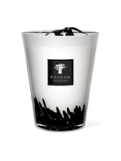 ماكس 24 فيذرز