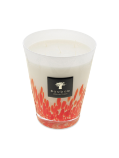 شمعة ماكس 24 فيذرز ماساي معطرة