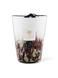 ماكس 24 رينفورست تانجونغ