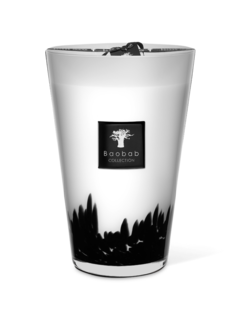 ماكسي ماكس فيذرز