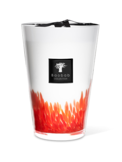 ماكسي ماكس فيذرز ماساي