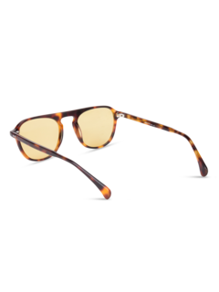 /original/MSSEYCO1009_EYEC_Brownyel_4.png_convert-240x320