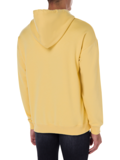 /original/TURTLEHOODRAPH_BRCK_Yellow Sun_4.png_convert-240x320