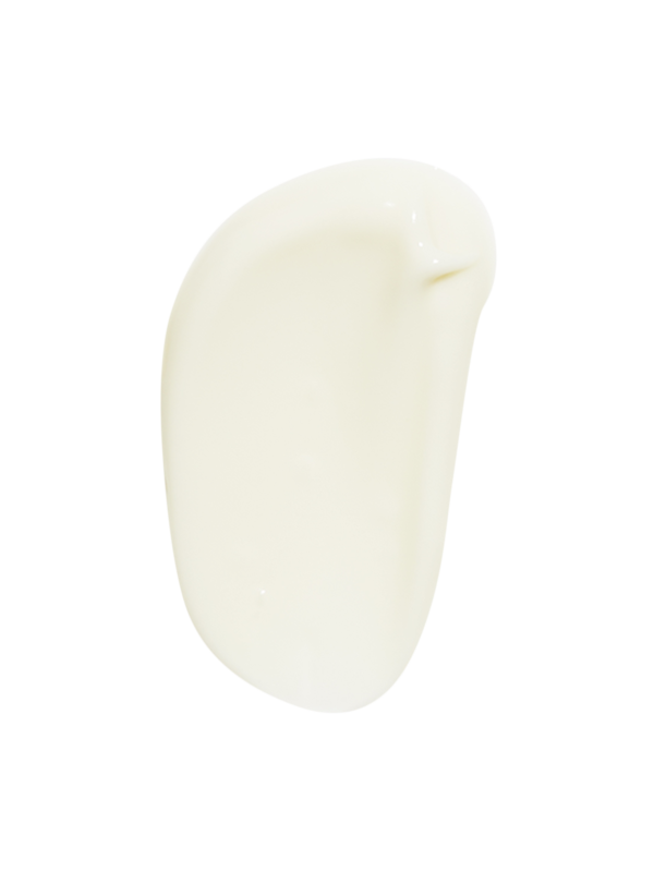 /original/0810008_BSTU_N_A_3.png_convert-600x800