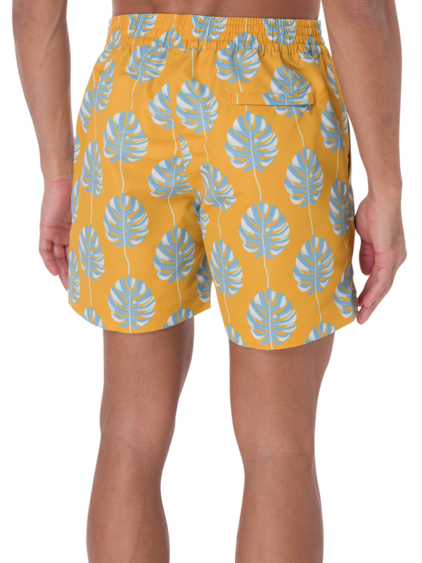 /original/2112_FRES_612_3.png_convert-600x800