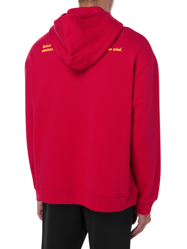 /original/222M160_RAFS_Red_4.png_convert-600x800