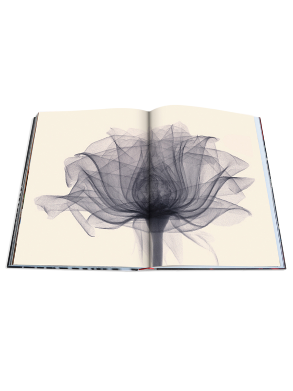 Flowers: Art & Bouquets