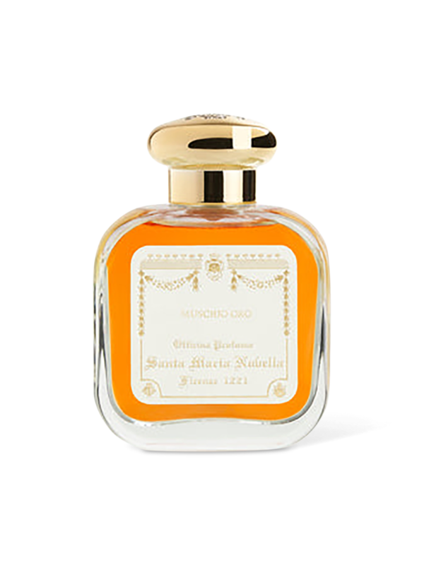 /original/3113002_SMNN_NA.png_convert-600x800