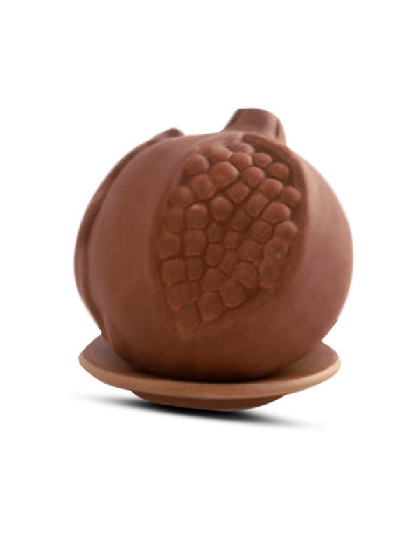 /original/3512700_SMNN_Nocolor_2.png_convert-600x800