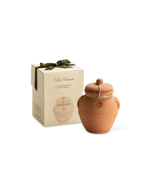 /original/3536406_SMNN_Nocolor_1.png_convert-600x800