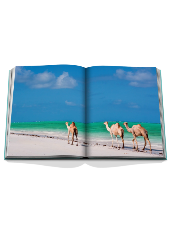 كتاب عن المملكة العربية السعودية: ريد سي ذا سعودي كوست