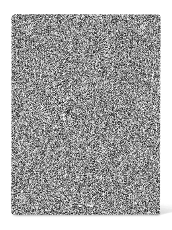 كتاب "White Noise"