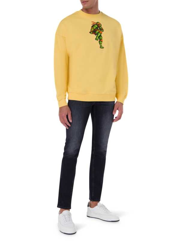 /original/FIGHTINGTURTLE_BRCK_Yellow Sun_2.png_convert-600x800