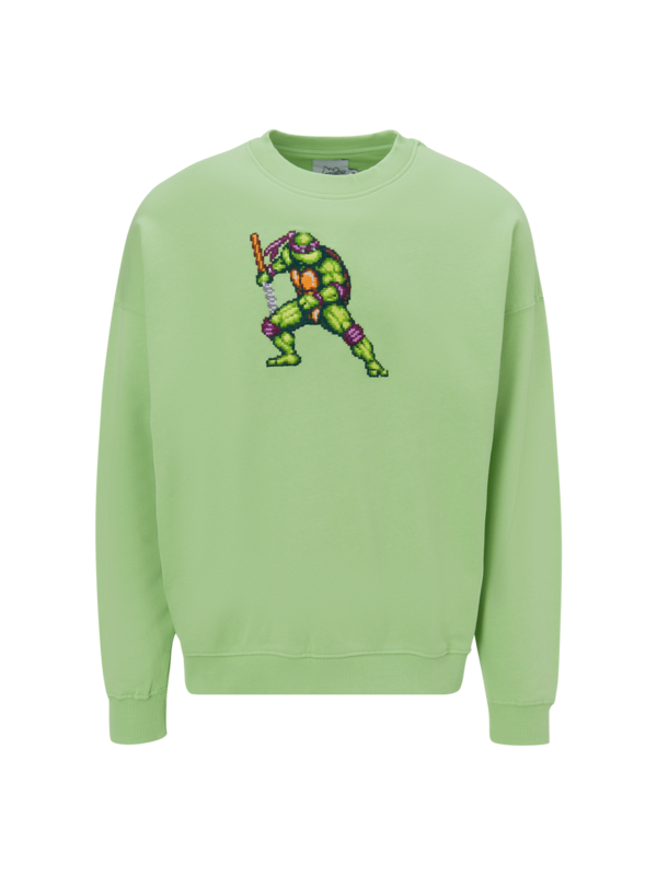 /original/FIGHTINGTURTLE_BRCK_green shel_1.png_convert-600x800