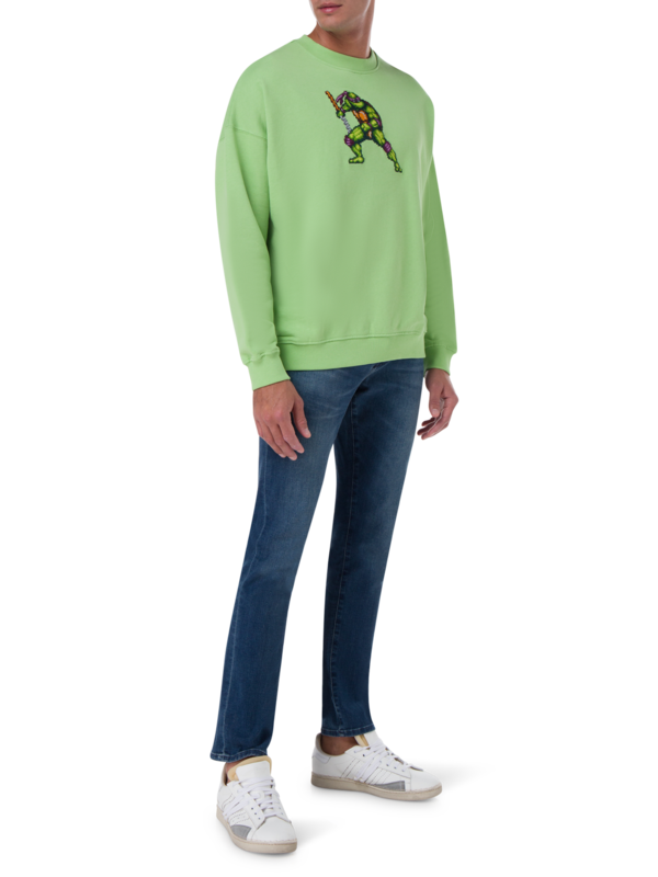 /original/FIGHTINGTURTLE_BRCK_green shel_2.png_convert-600x800