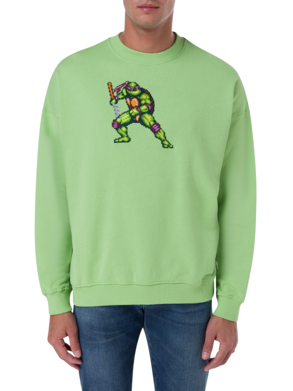 /original/FIGHTINGTURTLE_BRCK_green shel_3.png_convert-600x800