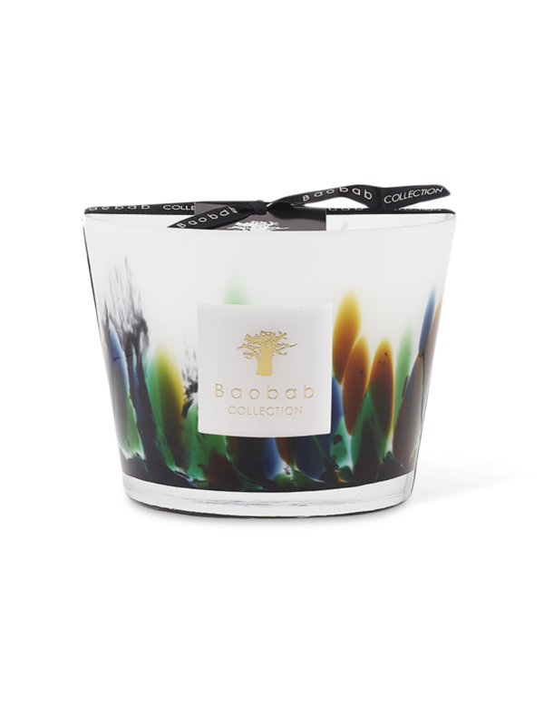 ماكس 10 رينفورست أمازونيا