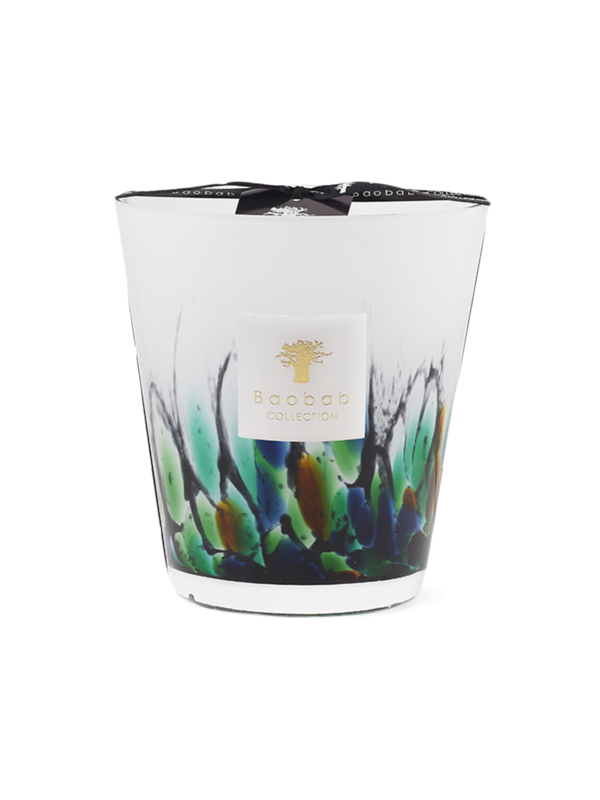 ماكس 16 رينفورست أمازونيا