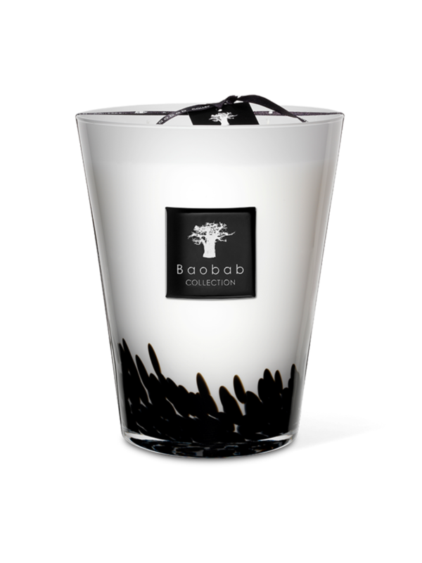 ماكس 24 فيذرز