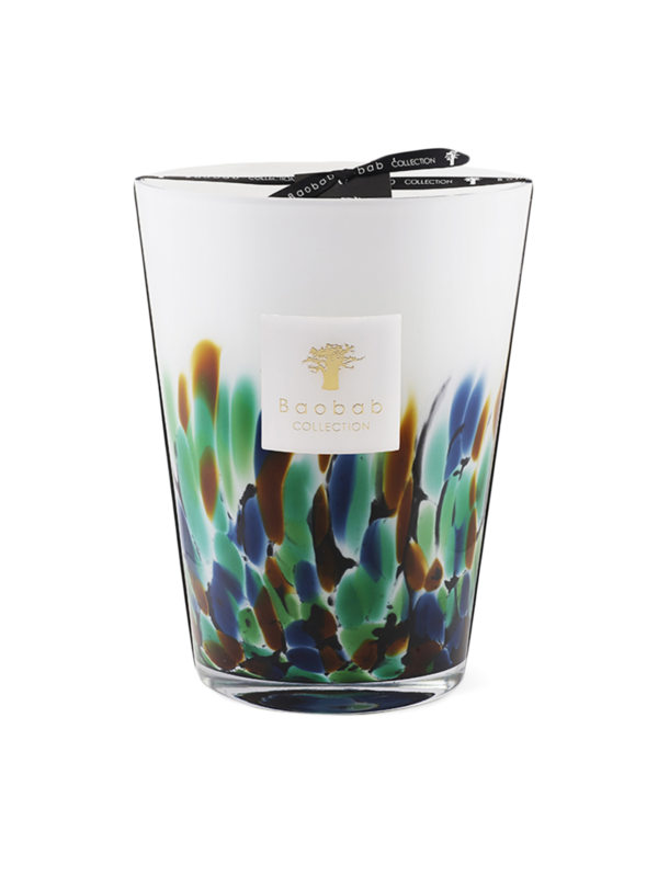 ماكس 24 رينفورست أمازونيا