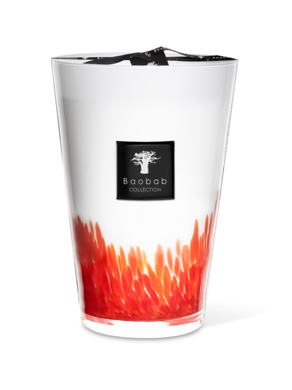 ماكسي ماكس فيذرز ماساي